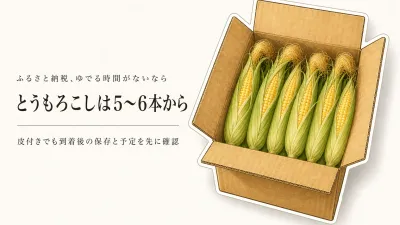 ふるさと納税のとうもろこしは届いた日にゆでられないなら何本まで？皮付き大容量を選ぶ前の基準